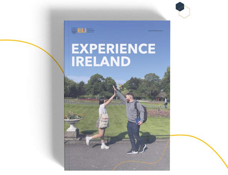 Experience Ireland Program